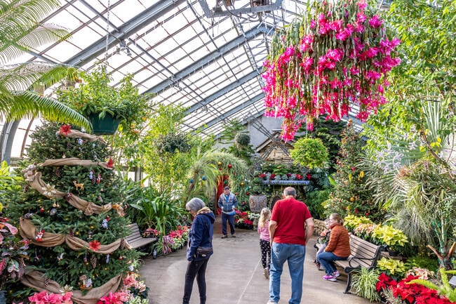 Vander Veer Botanical Park's Poinsettia & Lights Display is an annual holiday tradition.