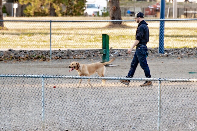 The dog park is a wide well fenced amenity of Cherry Hill Park in Coeur d'Alene.