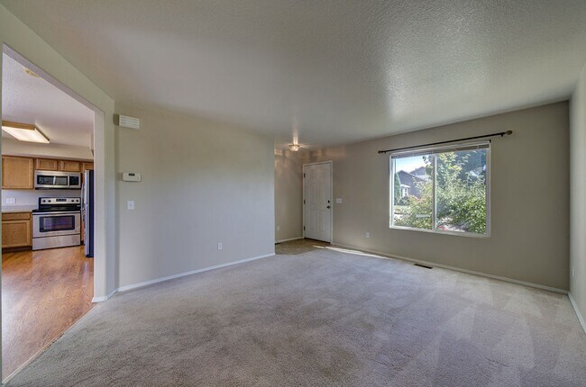 5812 Brennan Ave, Colorado Springs, CO 80923 - photo 4