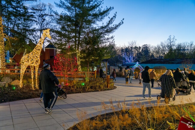 Local families love the evening visits to Wild Lights at the Elmwood Park Zoo.