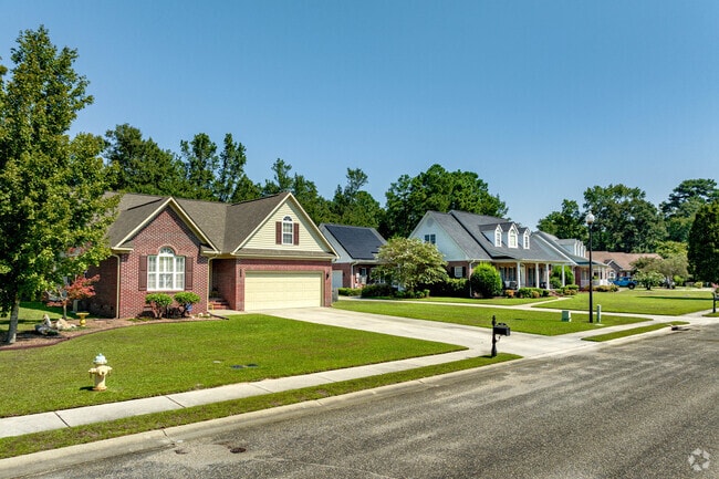 A wide variety of homes in South View, NC peek through the trees.