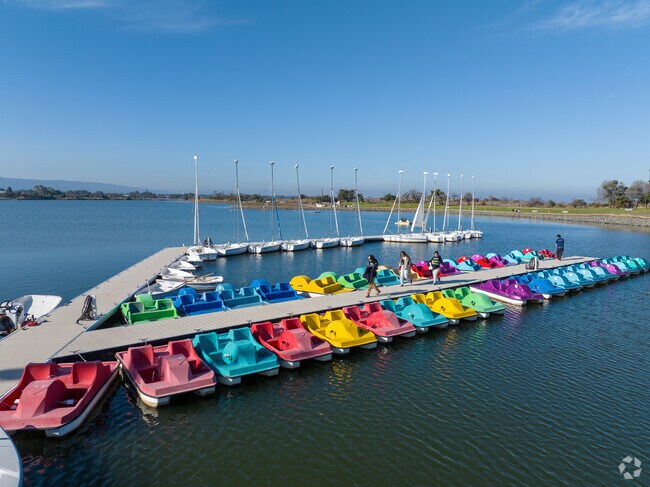 Glide through the serene waters of Shoreline Park on a pedalo adventure.