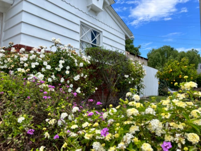 1905 Elanita Dr, San Pedro, CA 90732 - photo 5