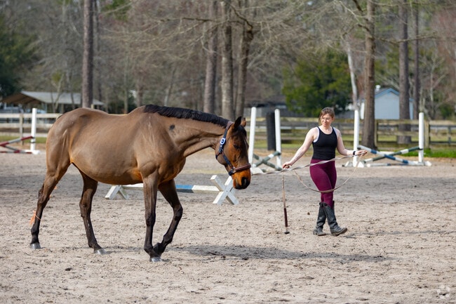 Board or train your horse at Sugar Wolfe Farm in Bloomingdale.