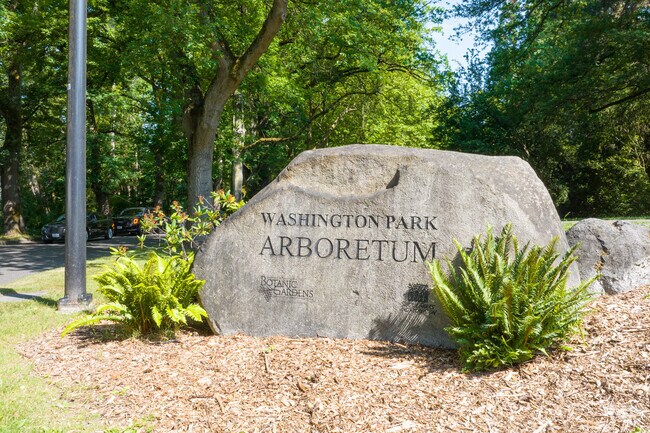 The Washington Park Arboretum features rare trees and trails in Madison Park.