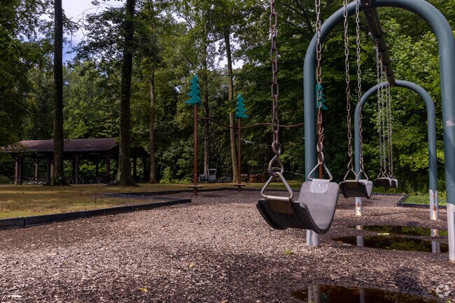 Butler Rodman Park swings in Alliance, Ohio.