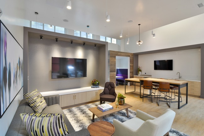 Parker, Berkeley, CA 94704 - photo 4