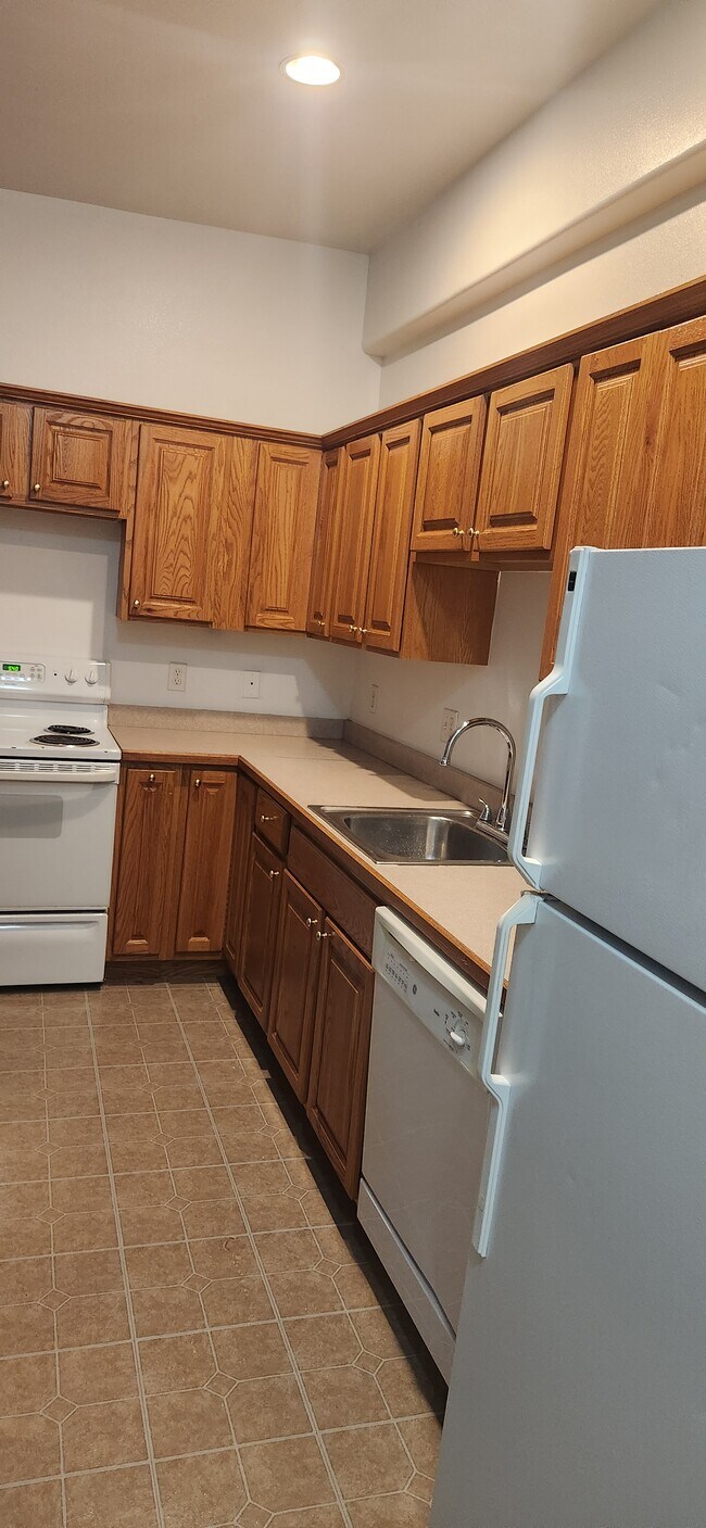 481 3rd St unit 2-3, Silverthorne, CO 80498 - photo 3