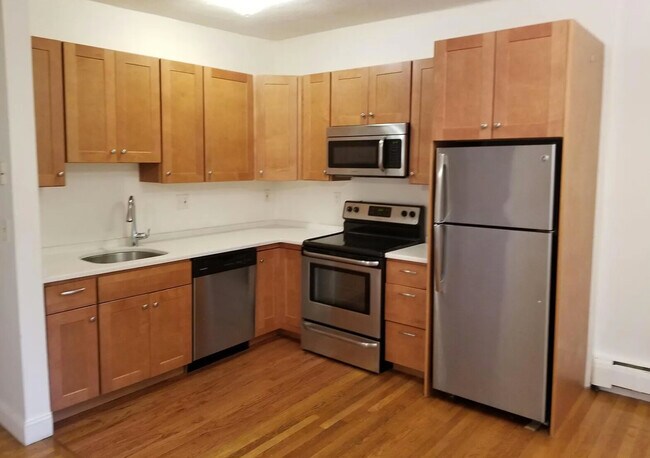 43 E Springfield St unit 4, Boston, MA 02118 - photo 3