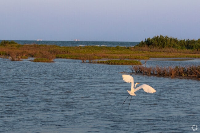 Residents living in Portland, TX can witness local cranes taking flight at Sunset Park.