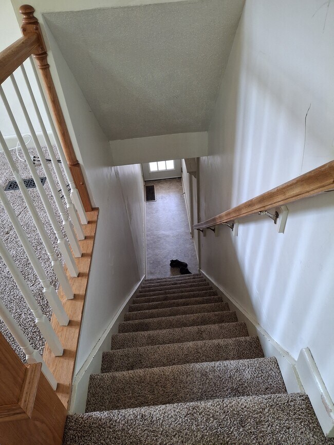 288 Sherwood St unit A, Morgantown, WV 26505 - photo 5