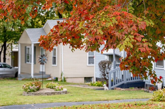 Fall is beginning to change the colors of all the tree leaves in Berkeley.