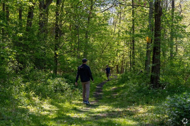 Hiking in the Capoolong Wildlife Management Area offers scenic trails, diverse wildlife, and peaceful natural beauty, perfect for outdoor enthusiasts.