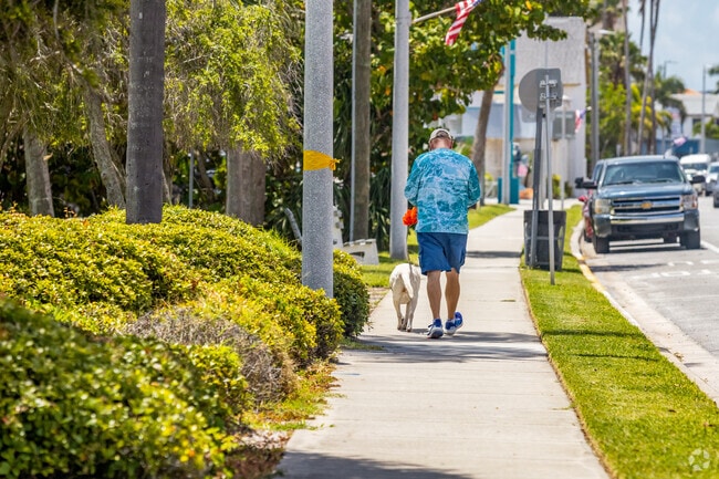 Take a stroll with your furry friend around Redington Shores enjoying the beautiful weather.