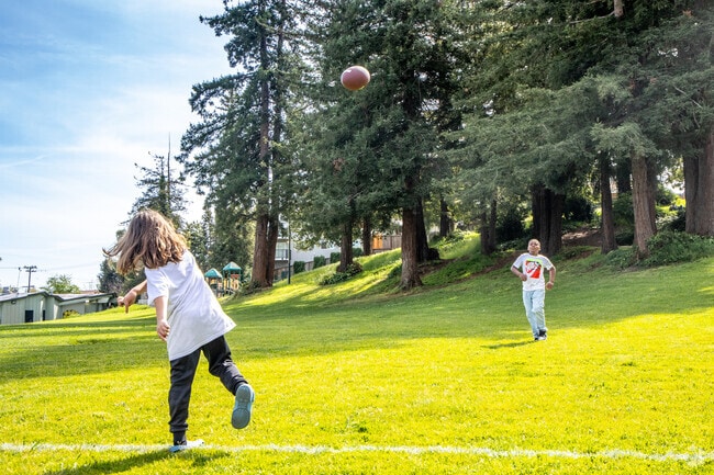 The green field of Brookdale Park is ideal for playing American football and catch.