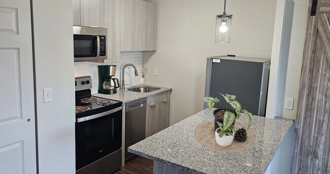 Sleek Kitchens with Dishwasher