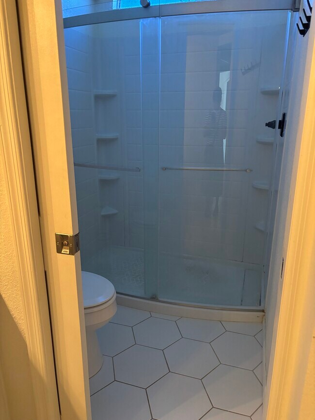 Master bathroom shower/toilet area