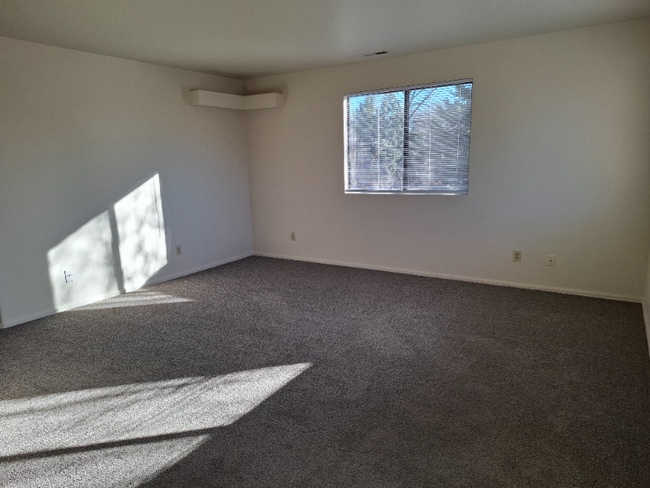 3026 N Prospect St unit C, Colorado Springs, CO 80907 - photo 6
