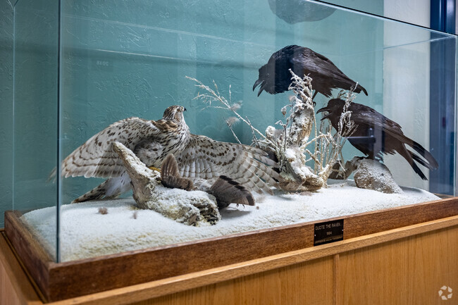 Find dozens of family friendly activities in and around Chubbock like the Natural Museum of History at ISU.