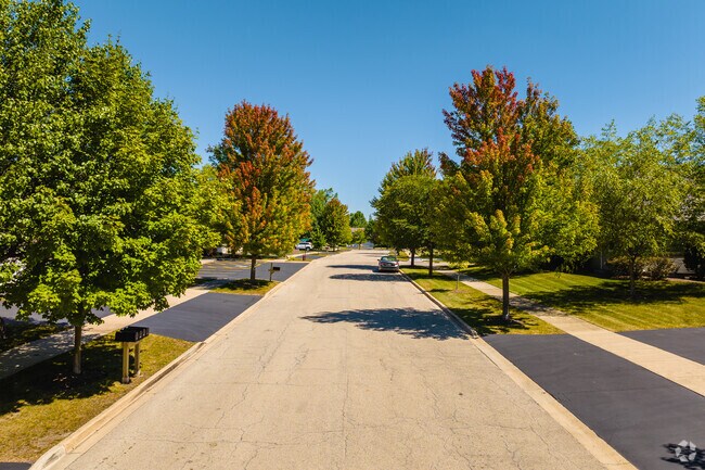 The tree-lined streets of Hidden Creek are well maintained and provide ample space.