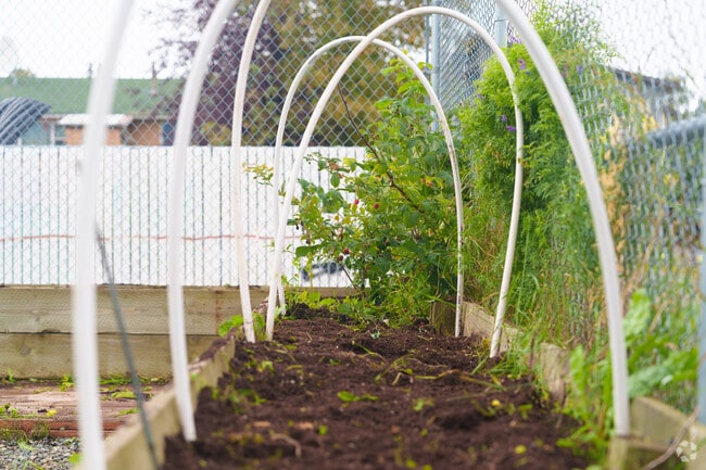 Children learn gardening at Mountain View Community Center.