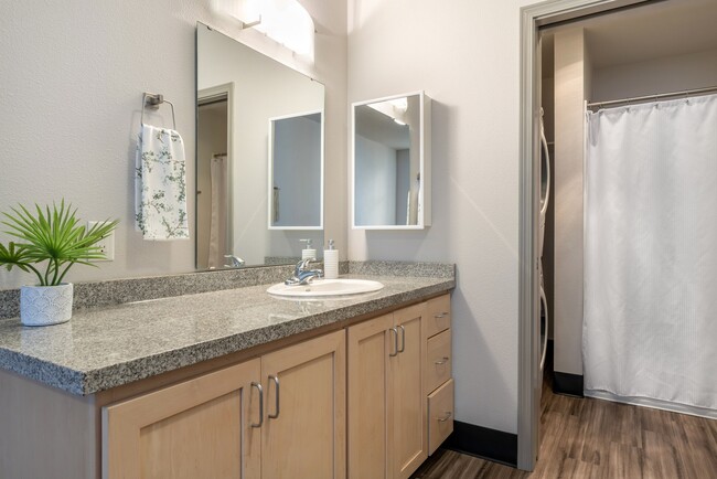 Bathroom with separate vanity- 2nd and 3rd floor