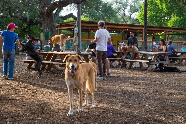 Locals in the area can have fun and hangout at The Watering Bowl in Manchaca.