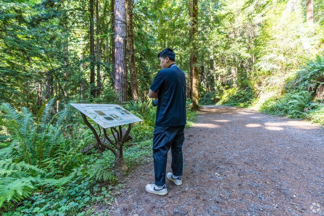 Nature lovers will enjoy visiting Redwood Park.