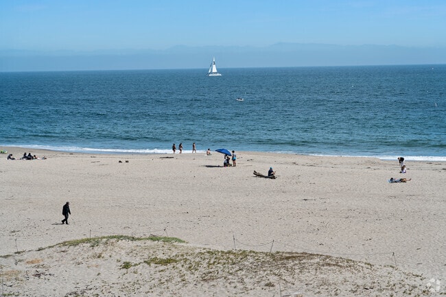Relax on Upper Seabright's serene beaches, with stunning views and gentle waves.