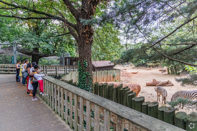 Garwyn Oaks families can spend a day in Africa at the Maryland Zoo, near Garwyn Oaks.