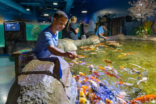 Dive into an adventure at Seaquest Lynchburg, where hands-on marine experiences await!