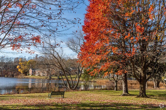 The neighborhood of Grove Street blooms during the fall.