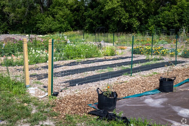 Enjoy the community garden at the Garden District in Morgandale.
