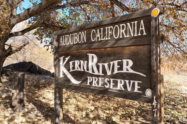 The Kern River Preserve available in Weldon, California.