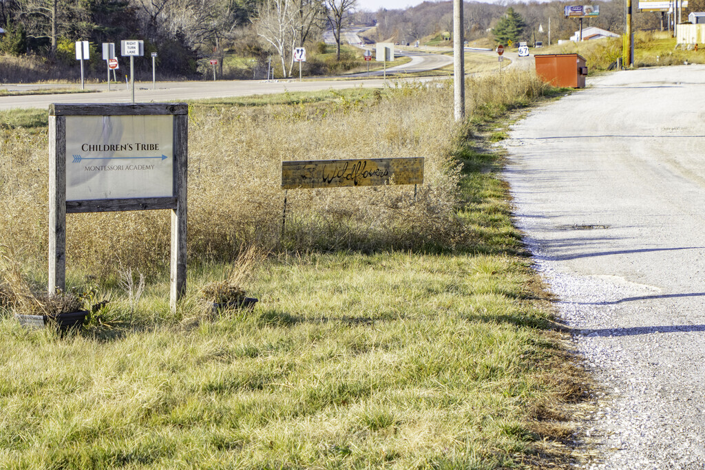 Children's Tribe Montessori Academy provides private education in 
Jersey County.