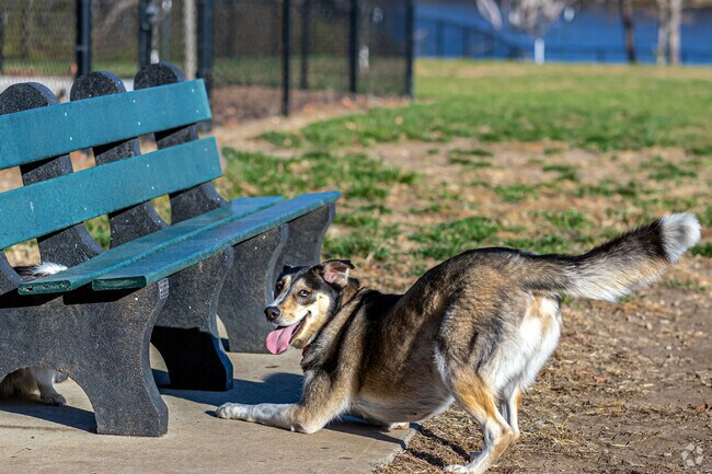 Homeowners in Glenwood Business District have many green spaces for their pets.
