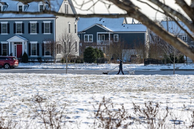 Take your dog for a walk on the sidewalk in Fulton when the grass is snowy.