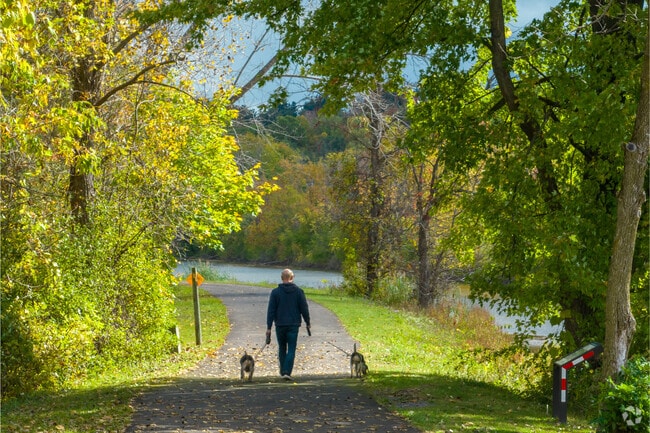 The Erie Canalway Trail is a 10-mile, dog-friendly paved trail.