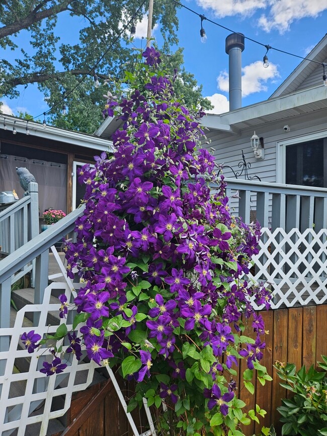 4047 Mogadore Rd, Mogadore, OH 44260 - photo 4