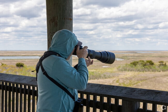 Many people enjoy bird watching at the Brigantine Bird Tower.