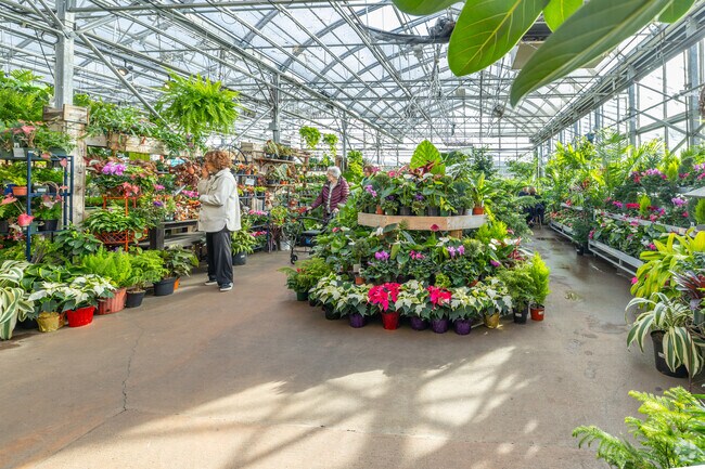 Garden of Eatin’ Cafe in Williston features lush greenery for a cozy, natural atmosphere.