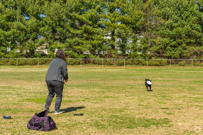 Play frisbee with your furry friends on the wide open grass field at Woodlawn Sports Complex.