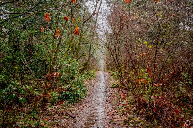 Orangegate Park surrounds visitors with serene natural beauty near Clover Creek.