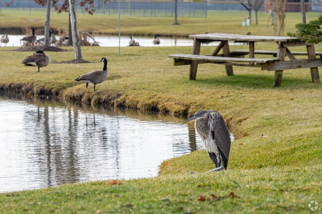 Southwest Fort Wayne's Indian Trails Park provides a nice fishing spot for this Blue Heron.