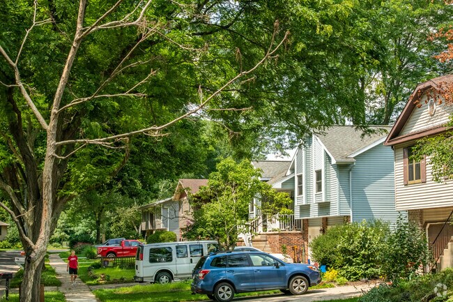 Cherokee Park residents are active all year round, especially in the summer.