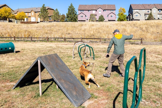 Locals love to take their furry friends to Wiggly Park.