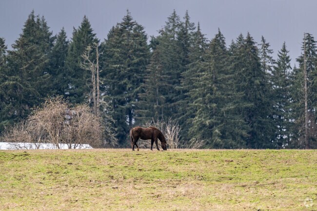Residents of Holley enjoy the rural open spaces.