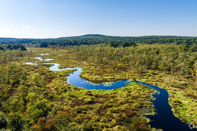 An aerial overview of the Stop River in the Medfield Rhododendrons.