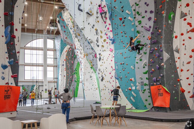 Westgate residents can go climbing at the First Ascent Arlington Heights gym.