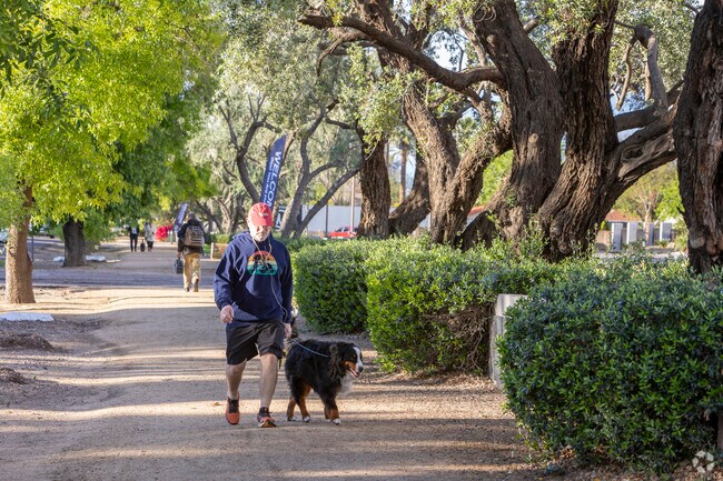 Head north on Central Ave. from Uptown Phoenix to enjoy the shaded Murphy Bridal Path.